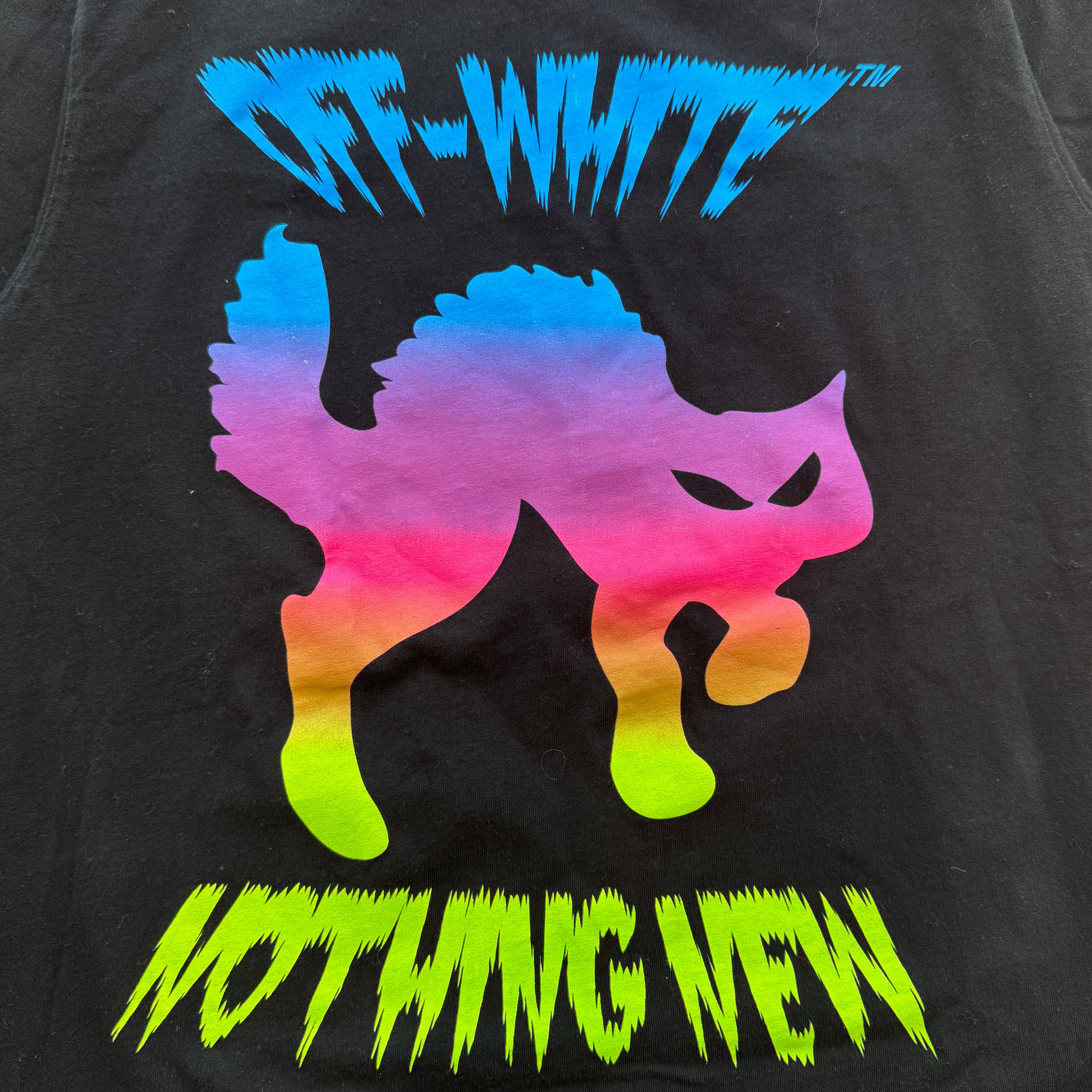 OFF-WHITE 2018SS DSMG Natural Habitat Tee OMAA032S18185238 Size M オフホワイト DSMG ナチュラル ハビタットティーシャツ サイズM