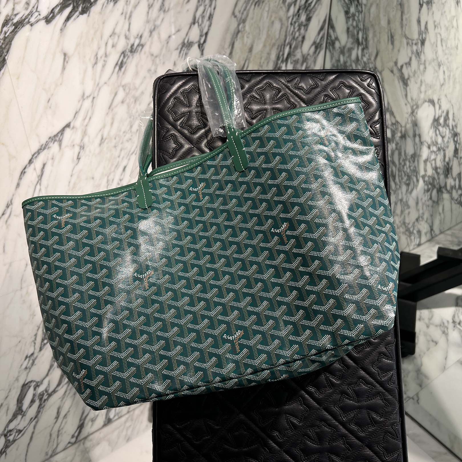 GOYARD Saint Louis PM Tote Bag STLOUIPMLTY09CL09P ゴヤール サンルイPM トートバッグ