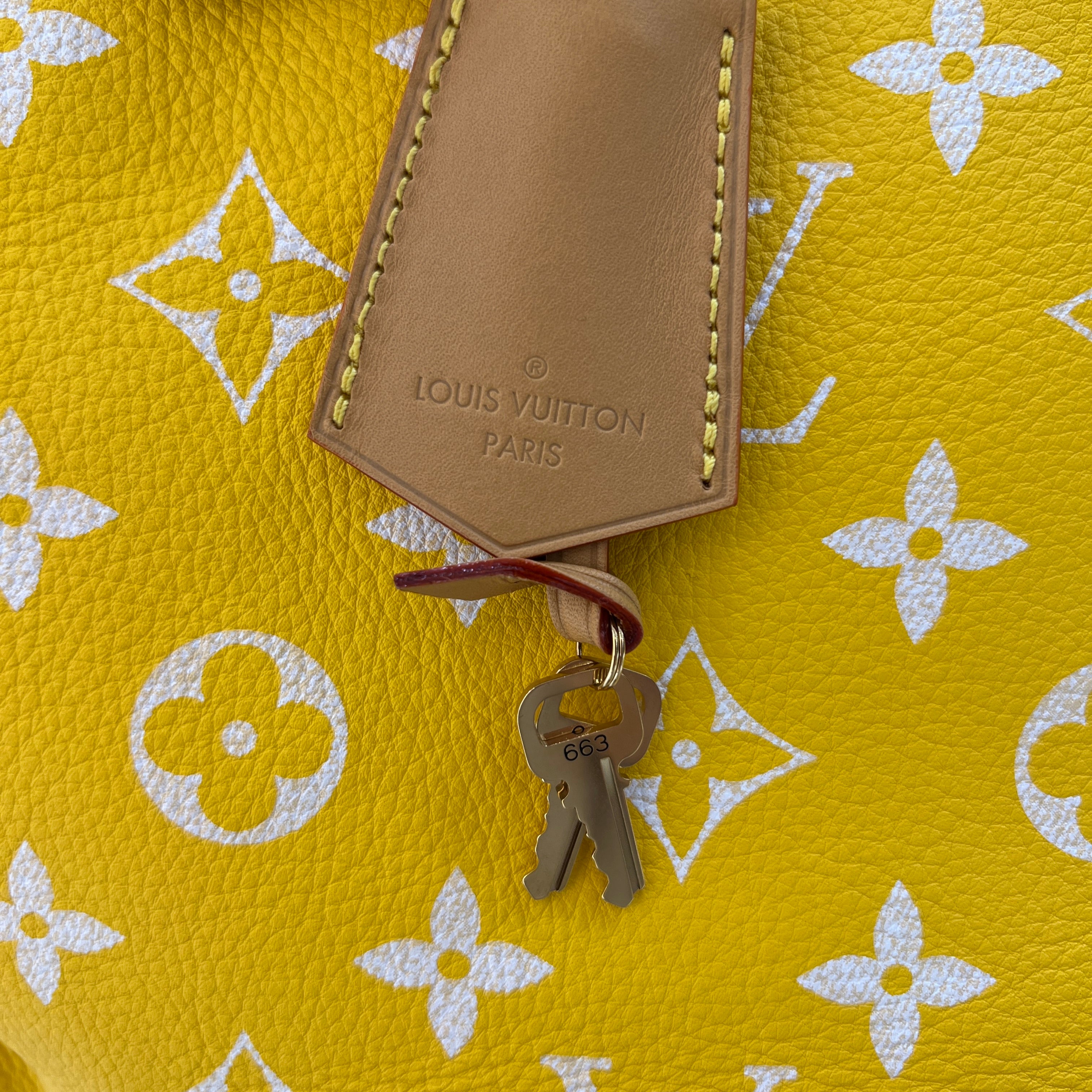 LOUIS VUITTON 2024SS Speedy P9 Bandouliere M24419 Size 40 ルイヴィトン スピーディP9 バンドリエール サイズ40