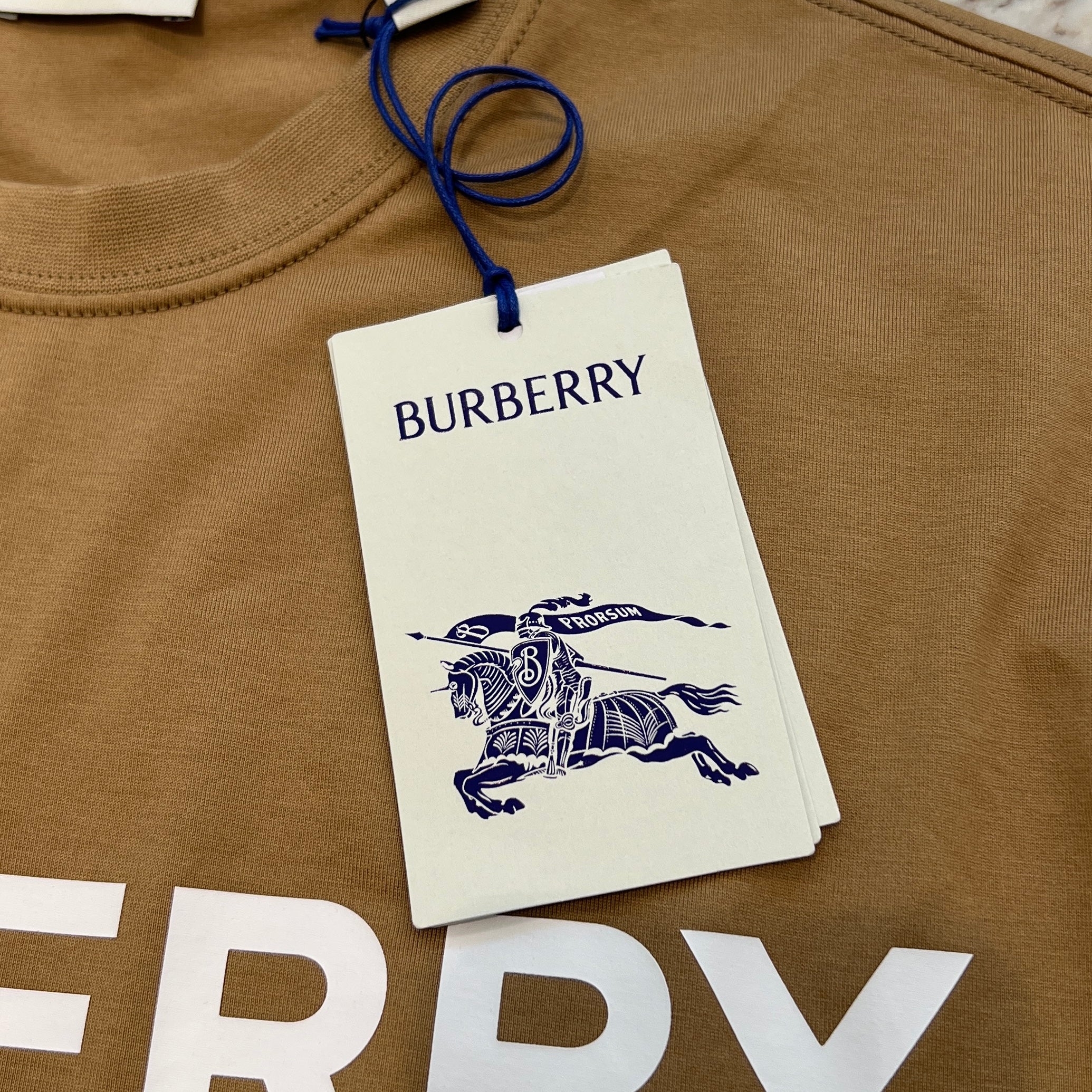 BURBERRY 2025SS ELLISON Logo Print Cotton Tee Size XL 8104231 バーバリー エリソンロゴプリント コットンTシャツ サイズXL