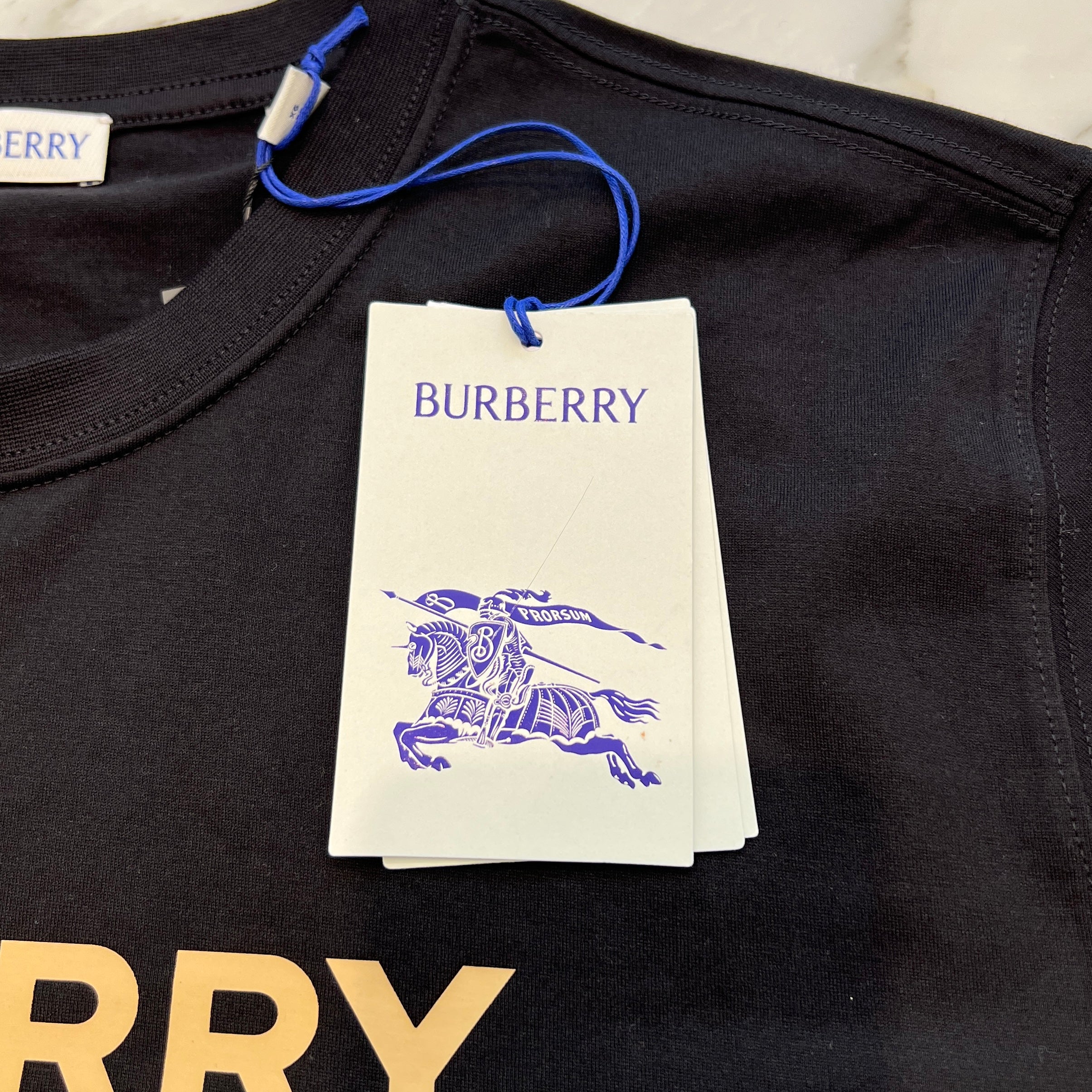 BURBERRY 2025SS ELLISON Logo Print Cotton Tee Size XL 8104248