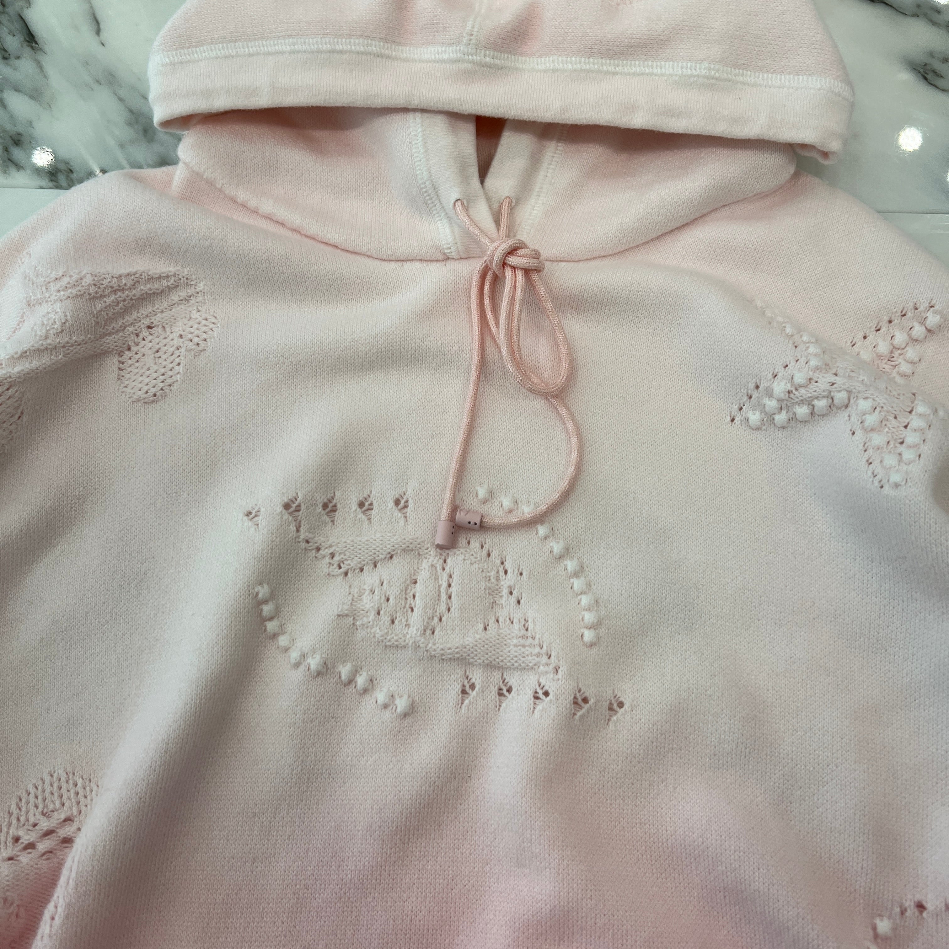 CHANEL Coco Mark Embroidery Gradient Cotton Pullover Hoodie P76494K10994 Size L シャネル ココマーク刺繍 グラデーション コットンプルオーバーフーディ プルオーバーパーカー サイズL