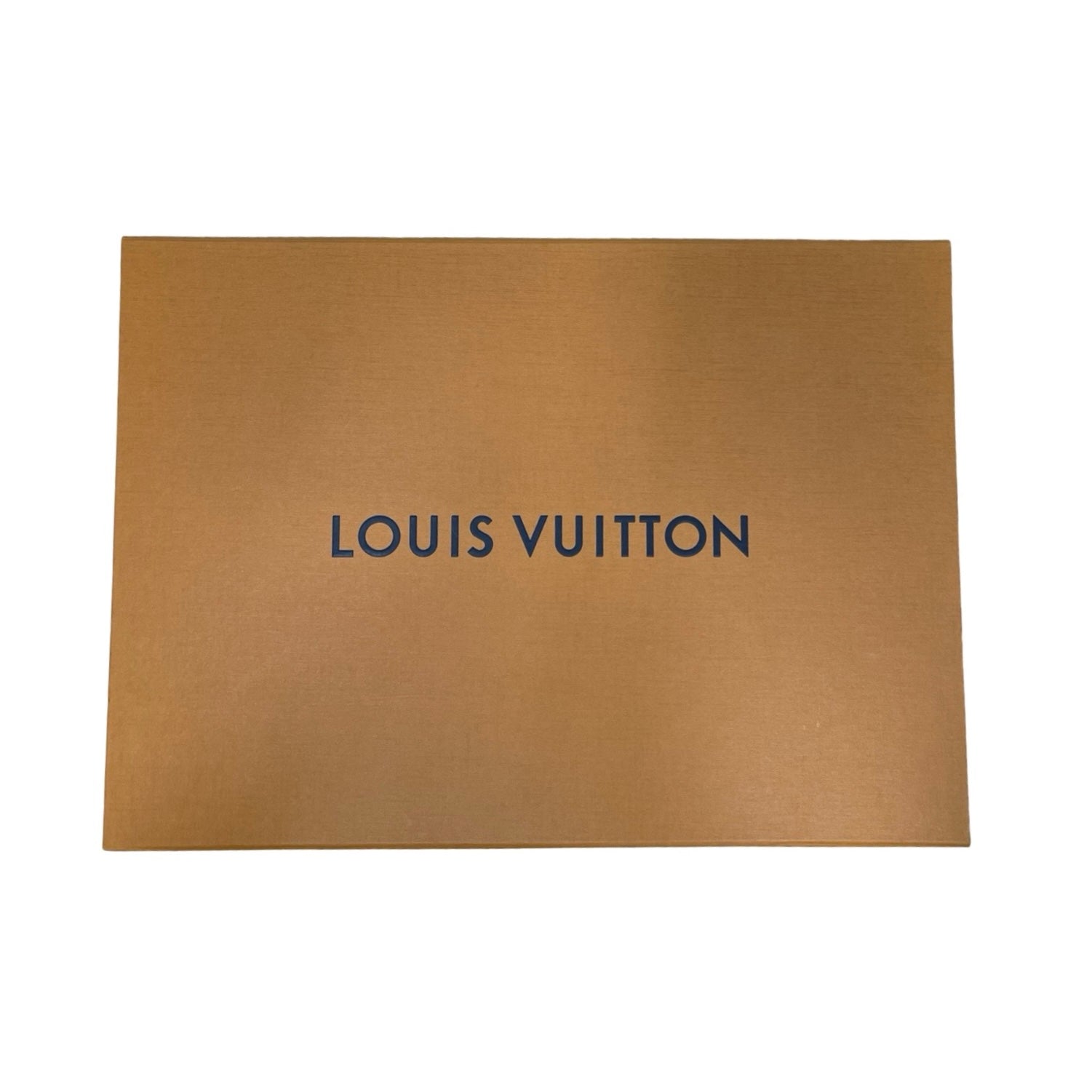 LOUIS VUITTON 2021AW Eshal LV Graphical Cashmere Scarf M00497